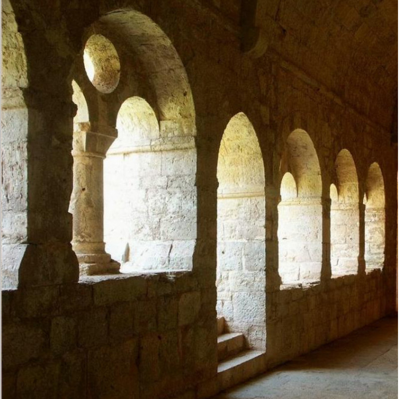 Abbaye du Thoronet - vue du cloître